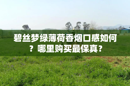 碧丝梦绿薄荷香烟口感如何？哪里购买最保真？