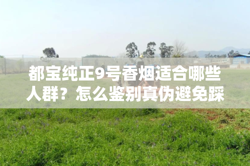 都宝纯正9号香烟适合哪些人群？怎么鉴别真伪避免踩坑？